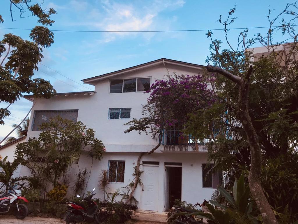 Appartement New Moringa à Las Terrenas Extérieur photo