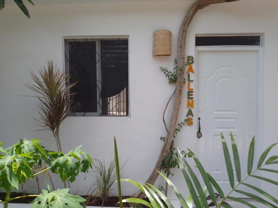 Appartement New Moringa à Las Terrenas Extérieur photo