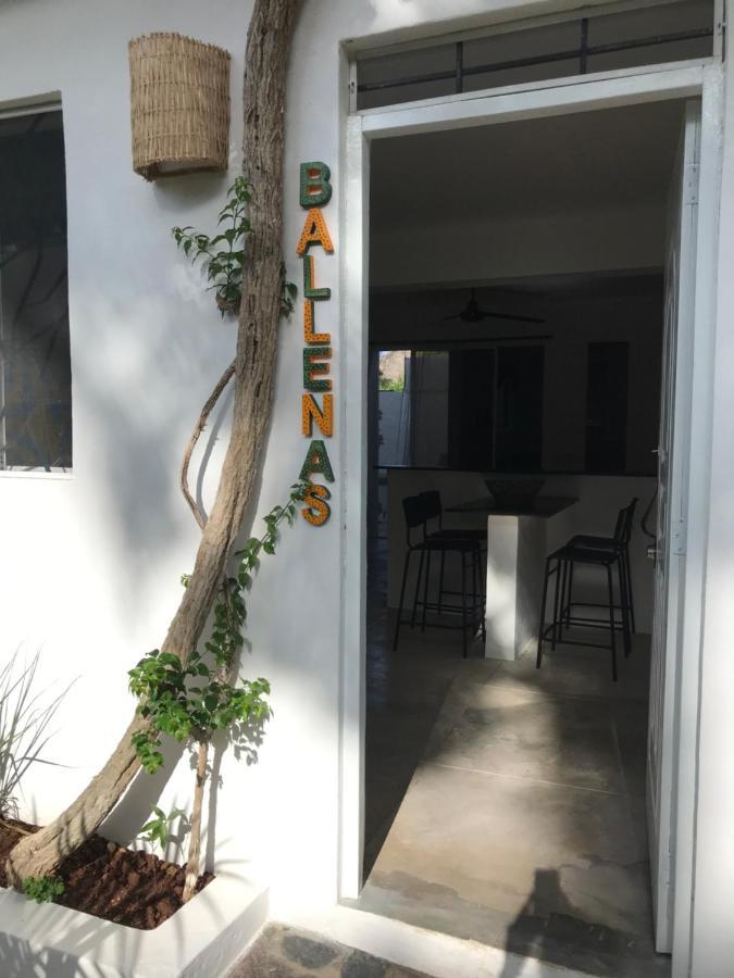 Appartement New Moringa à Las Terrenas Extérieur photo