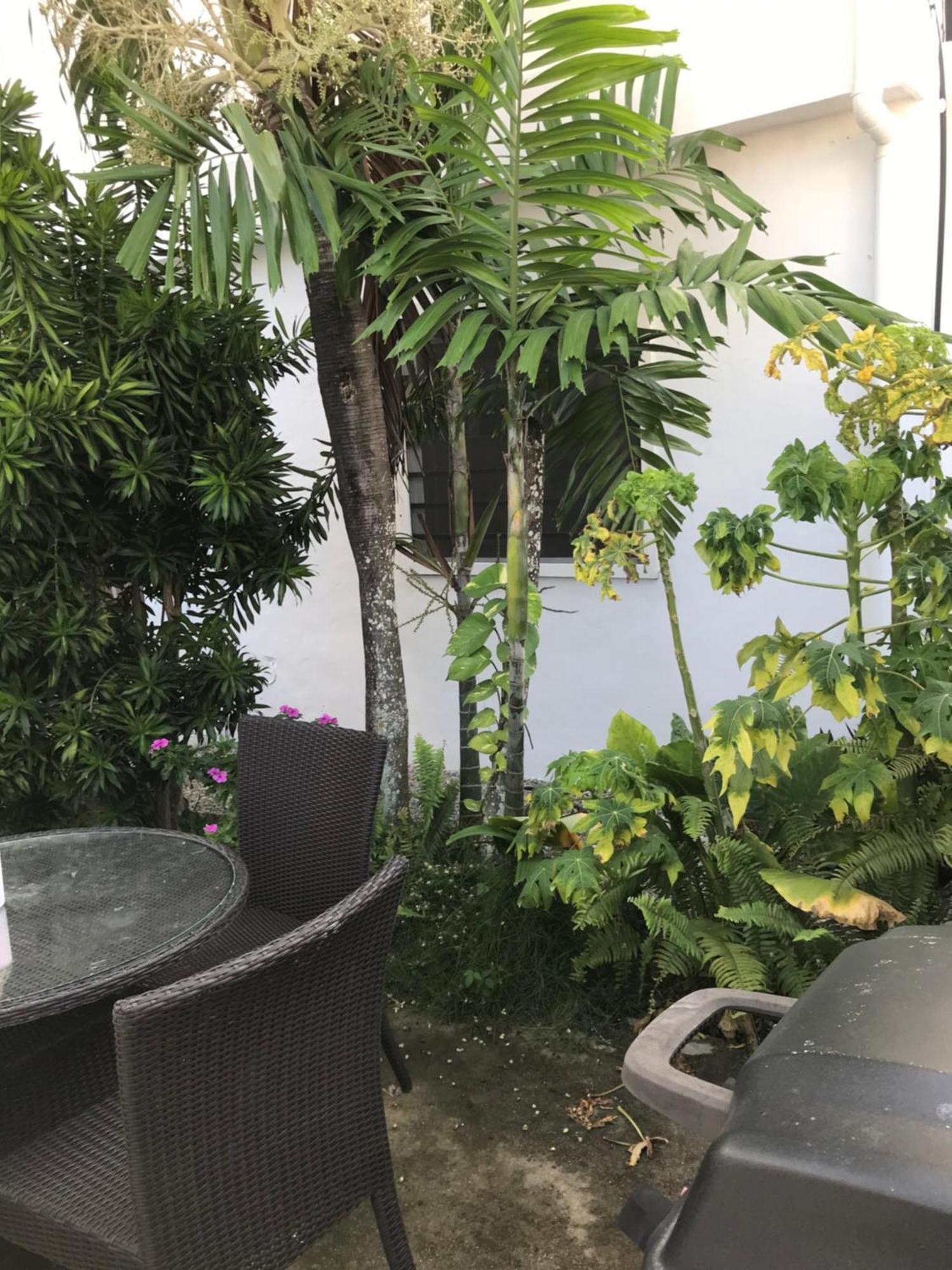 Appartement New Moringa à Las Terrenas Extérieur photo