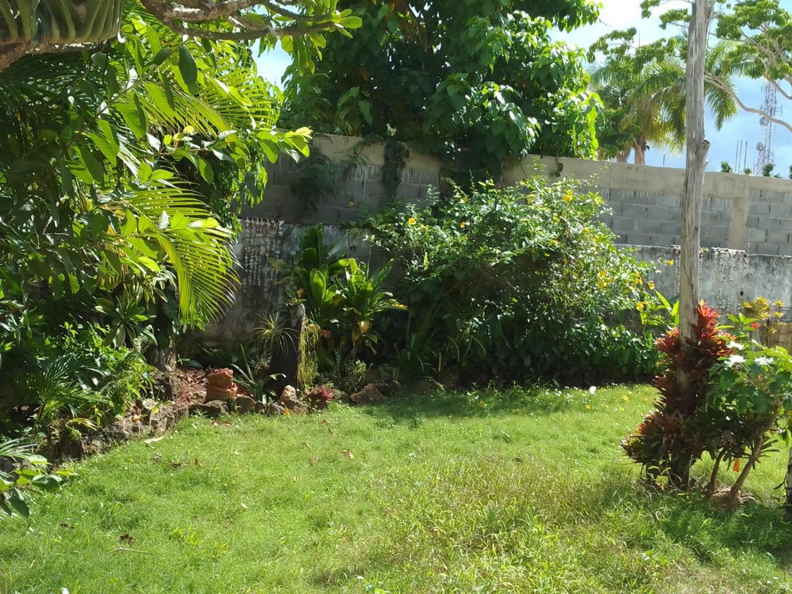 Appartement New Moringa à Las Terrenas Extérieur photo