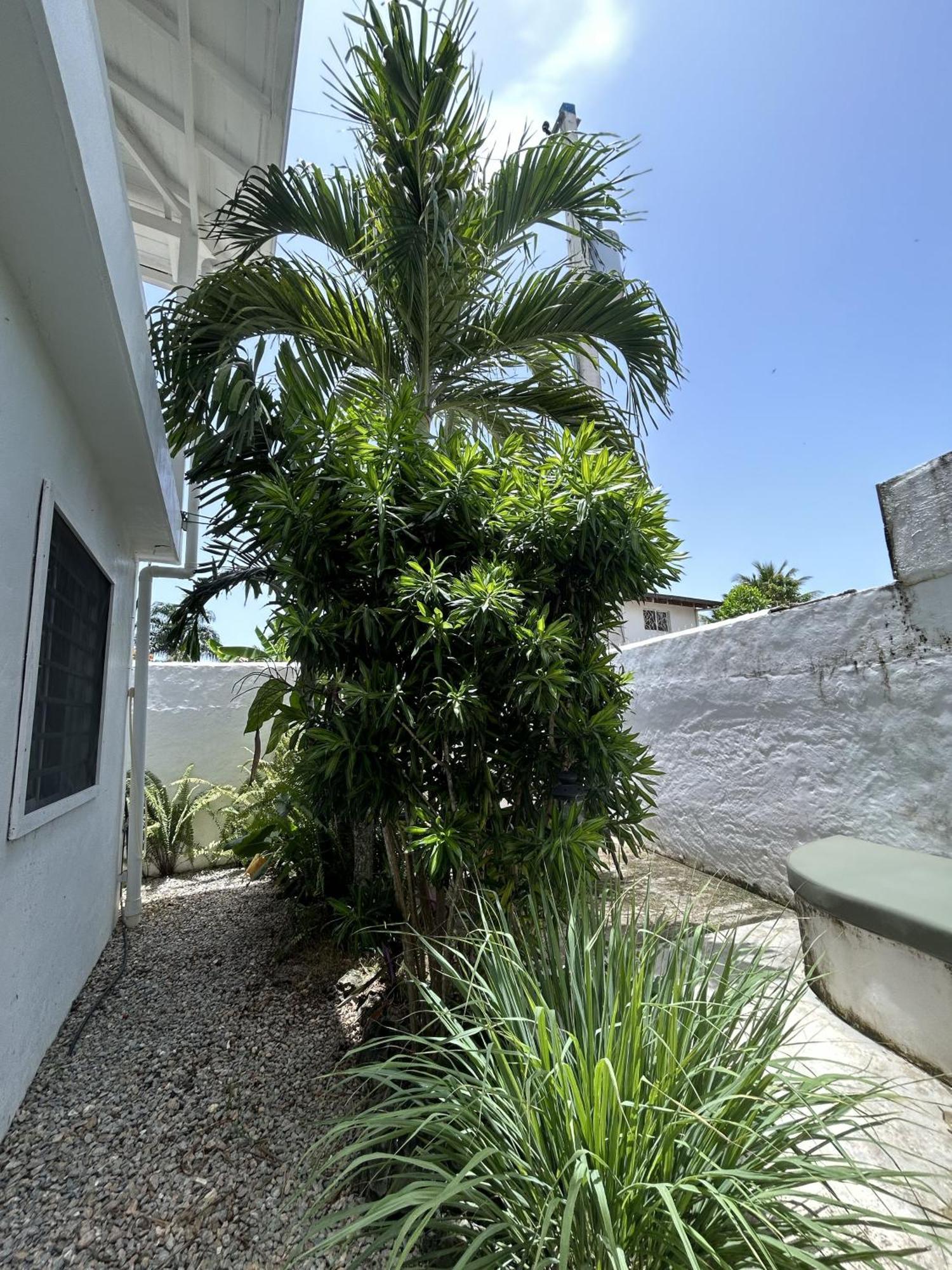 Appartement New Moringa à Las Terrenas Extérieur photo
